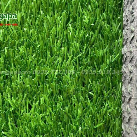 Cỏ Nhân Tạo STEMGRASS 12000 – Siêu Bền, Đạt Chuẩn FIFA 2 Sao